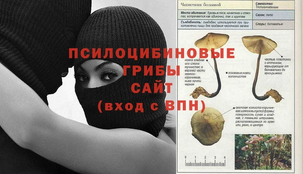 МДПВ Кукмор