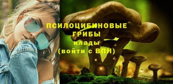 прущий лед Куйбышев