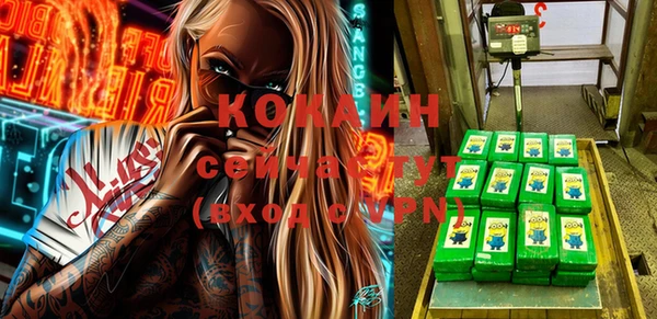 МДПВ Кукмор