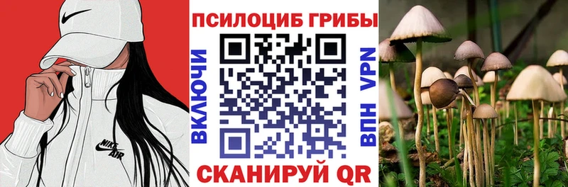 Купить  Кандалакша  Галлюциногенные грибы прущие грибы 